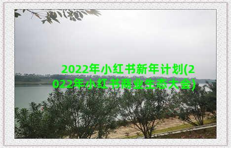 2022年小红书新年计划(2022年小红书商业生态大会)