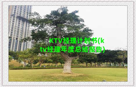 KTV经理计划书(ktv经理年度总结报告)