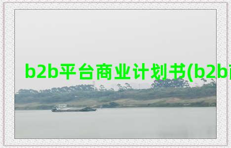 b2b平台商业计划书(b2b商业术语)