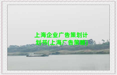 上海企业广告策划计划书(上海广告策略)