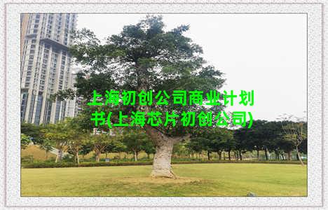 上海初创公司商业计划书(上海芯片初创公司)