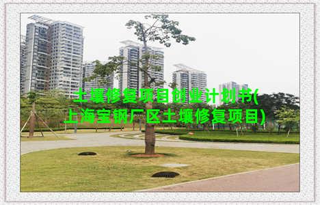土壤修复项目创业计划书(上海宝钢厂区土壤修复项目)