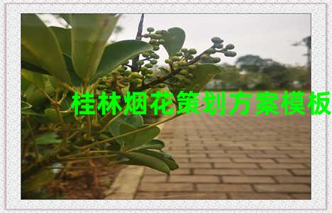 桂林烟花策划方案模板