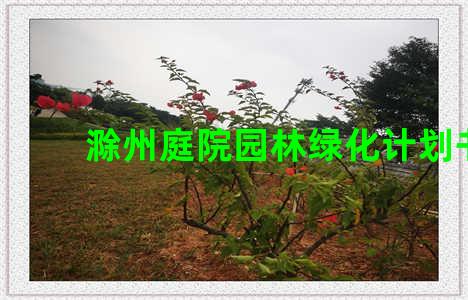 滁州庭院园林绿化计划书