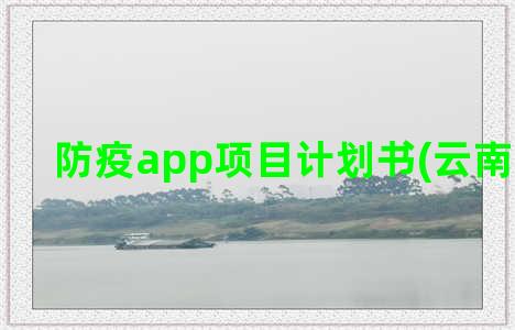 防疫app项目计划书(云南防疫app)